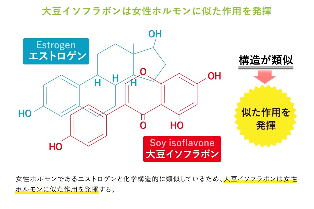 大豆イソフラボンの効果 | 輝きプロジェクト
