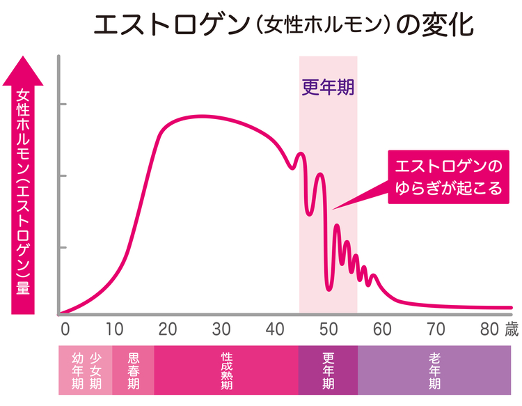 エストロゲンの変化